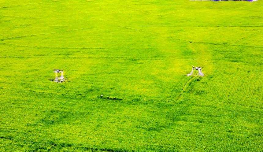 植保无人机开展“飞防”作业。