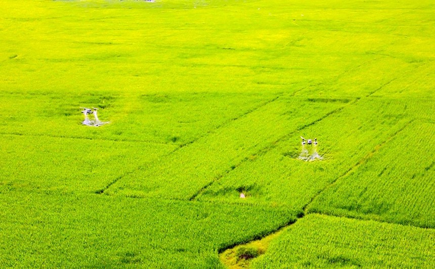 植保无人机开展“飞防”作业。