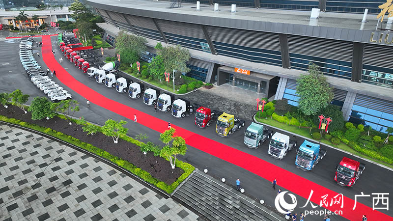 在柳州国际会展中心展出的乘龙卡车。人民网 付华周摄
