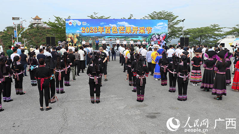 2023年百色芒果开采节现场。人民网 黄子婧摄.JPG