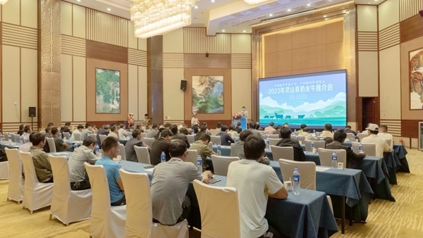 推介会活动现场.jpg