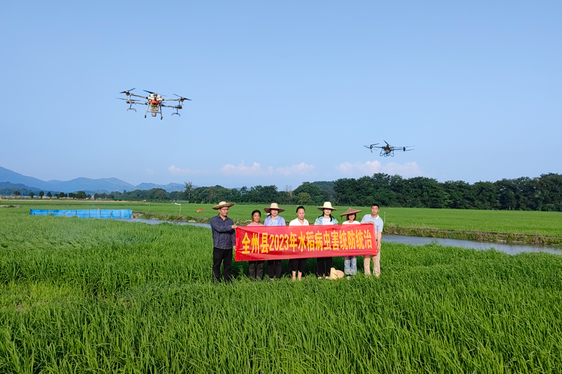 图为6月10日，农业植保机正在龙水镇光田村水稻田上空作业。