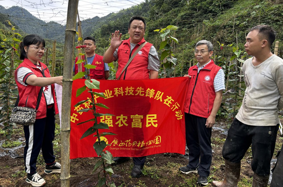 科技特派员在凉坪村田间开展“强农富民”活动。李琼摄