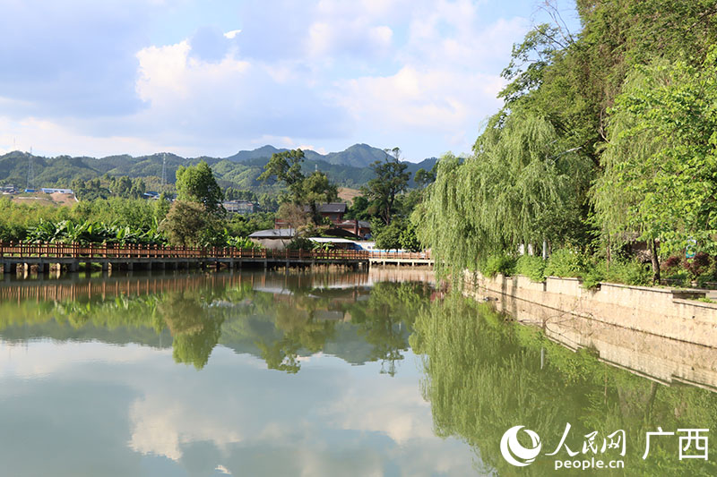 柳州小荣村：保护好家门口的湿地