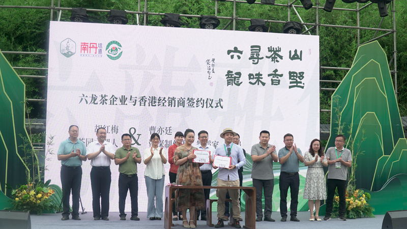 六龙茶企业与客商签约合作。何善权摄