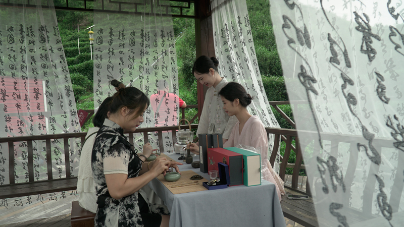 游客近距离感受茶文化。何善权摄