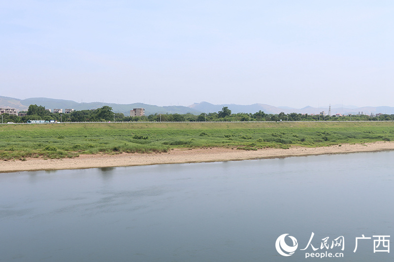 鹿寨县城区附近的洛清江湿地。人民网 付华周摄