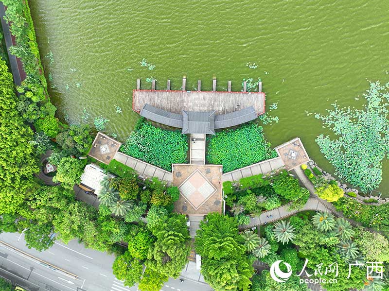 貴港東湖公園。人民網 付華周攝