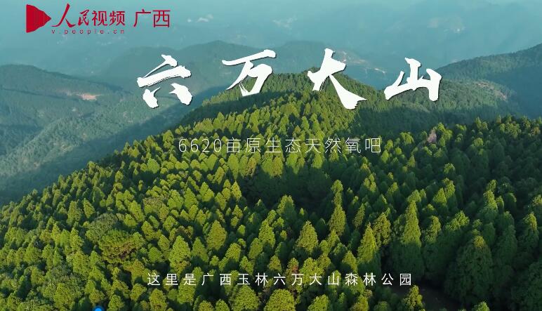 "美在玉林"之六万大山