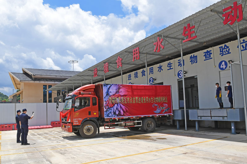 海关工作人员在弄尧货物监管中心海关查验平台对进口食用水生动物进行检验。庞立坚摄