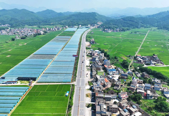 国道207线信都大道美丽公路。苏丽云摄