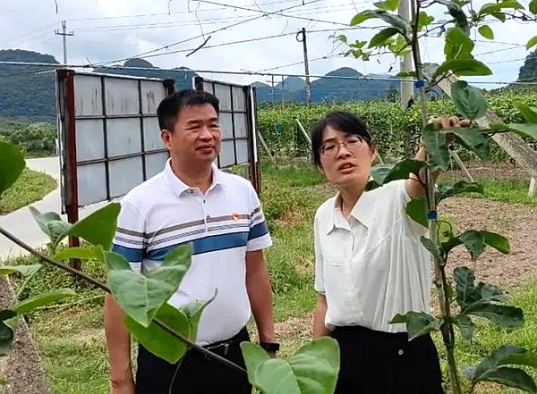 两地开展农业种植产业交流