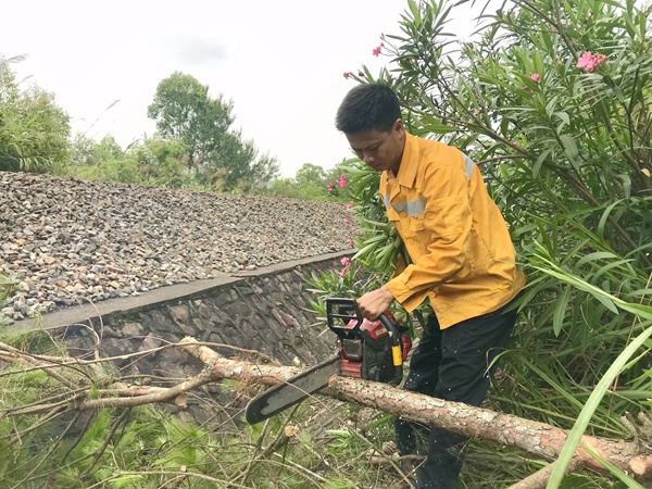 玉林工务段职工利用油锯提前砍伐线路两旁的危树危竹，消除安全隐患。黄正荣摄