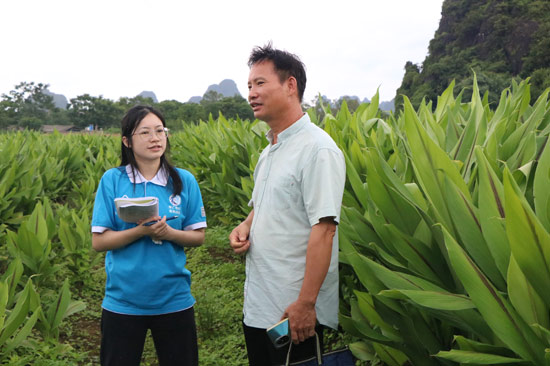 大学生志愿者在泉江村莪术种植基地走访调研。广西医科大学药学院团委供图