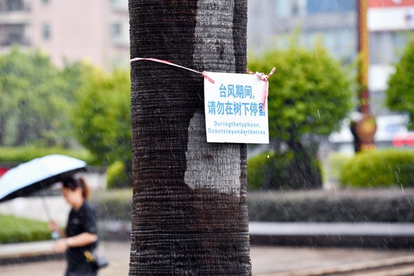 南宁园林部门在街头绿树上挂出提示牌。记者梁枫摄
