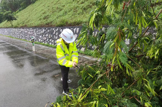 防汛突击队清理高速公路路侧倒伏的树木。柳州高速来宾分公司供图