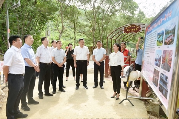 罗湖区党政代表团到新丰村考察罗湖西林连心桥建设项目。黄燕群摄