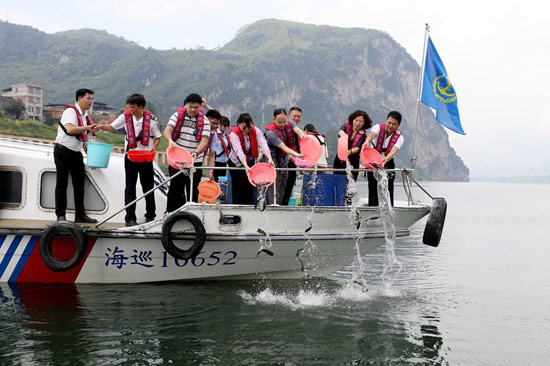 图3:柳城县凤山镇段,人大代表将鱼苗放流。覃庆和摄