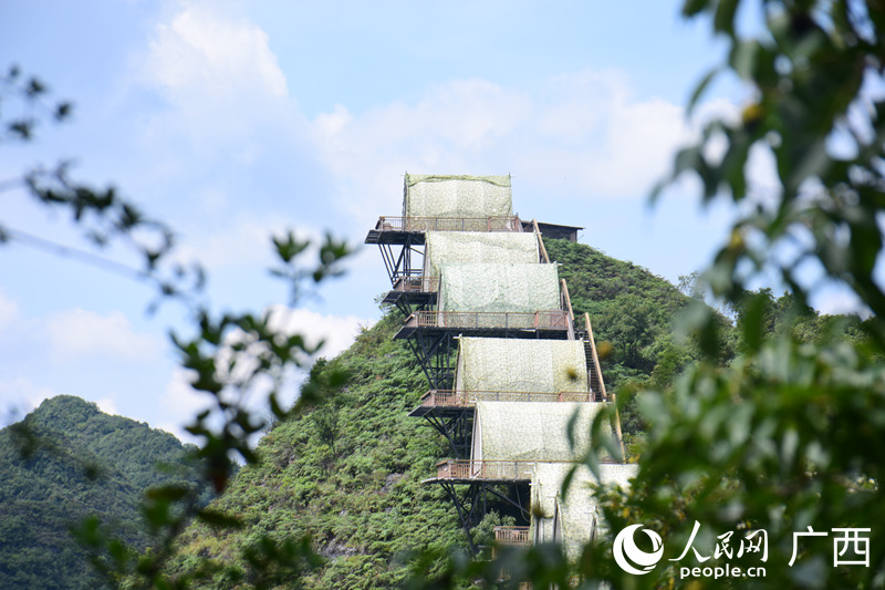 大石围天坑景区内，屹立在山上的露营基地。人民网 王功孝摄