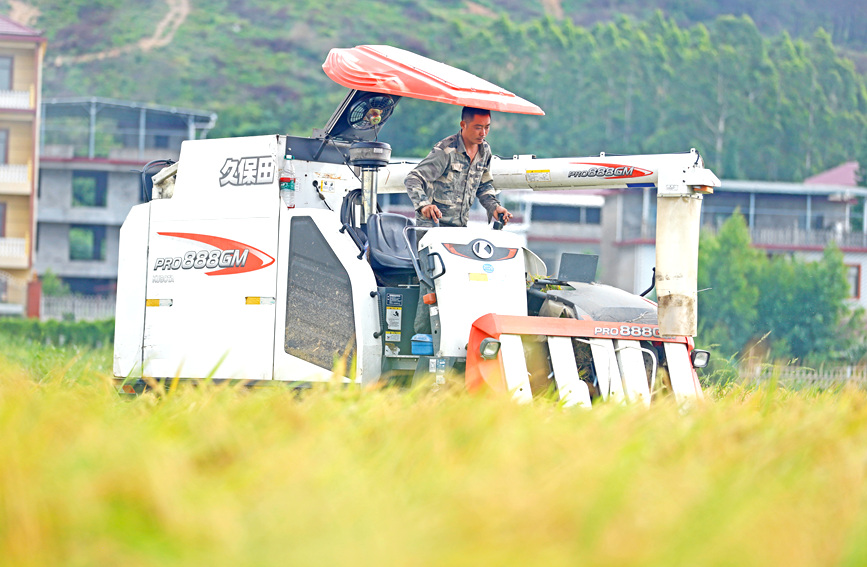 收割機正在作業。