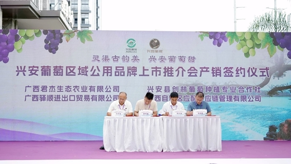 产销签约仪式现场。