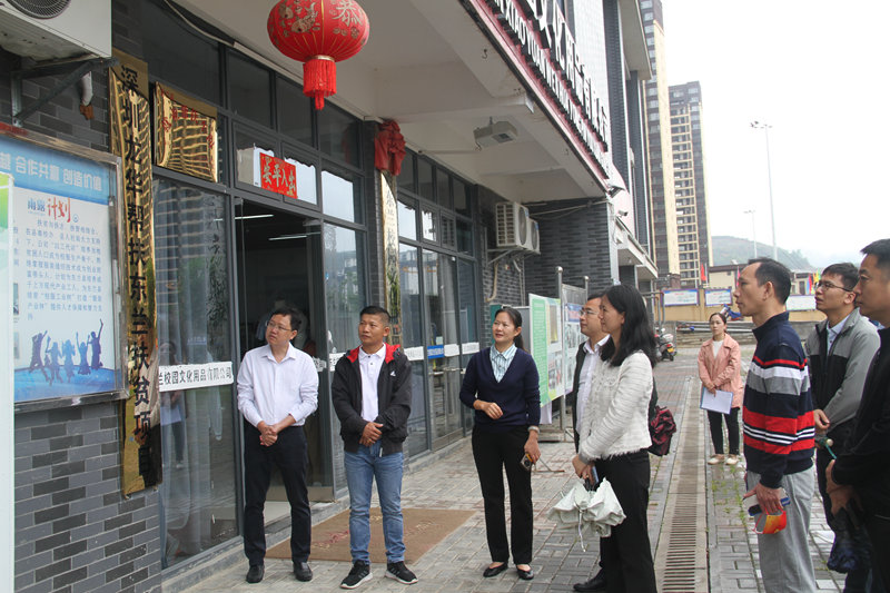 “红色专员”实地查看深圳市龙华区帮扶东兰扶贫项目。李星乐摄