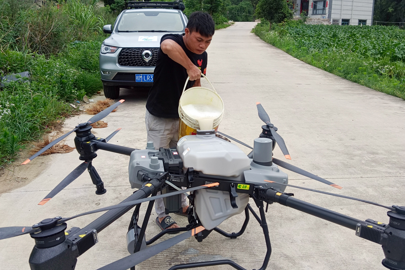 图为烟农向无人机装置农药。覃文锋摄