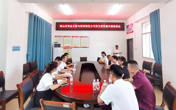 凭祥保发公司党支部与凭祥市凭祥镇南山村党总支联建座谈。陆丽华摄