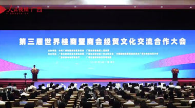 第三届世界桂商暨商会经贸文化交流合作大会在南宁举行