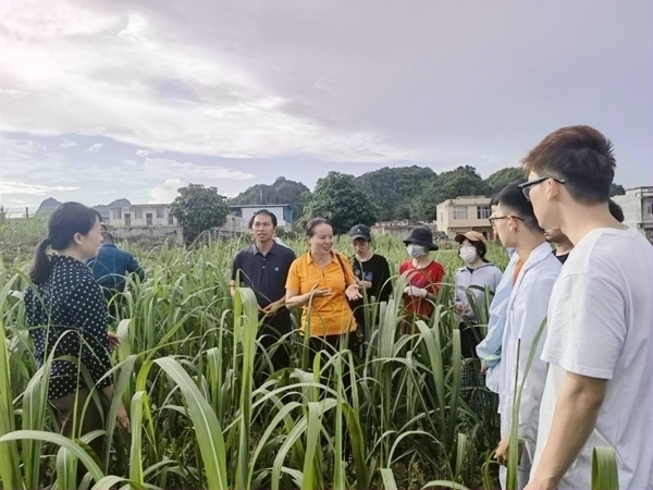 “天空地网”项目成员在“数字蔗田”示范基地进行实地调研,褚海薇摄。.jpg
