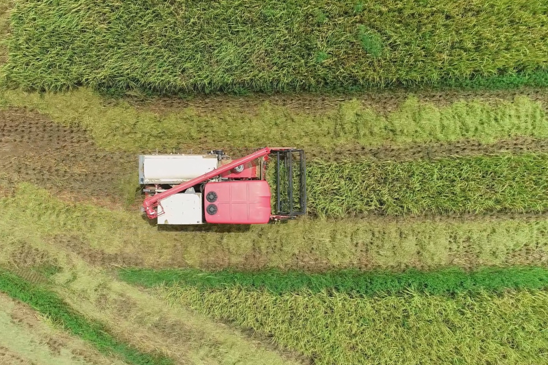田间地头呈现一派忙碌的景象。黄文毅摄