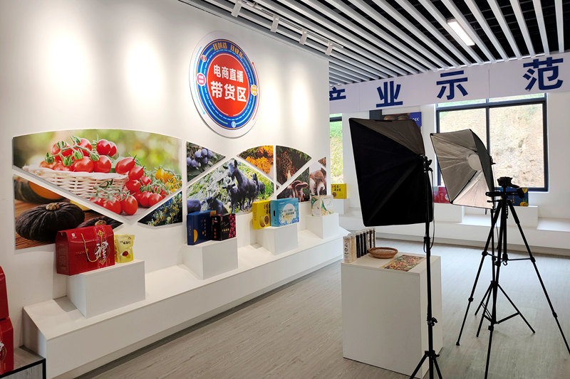 广西金天地农业发展有限公司助农电商直播带货区。覃炫铭摄