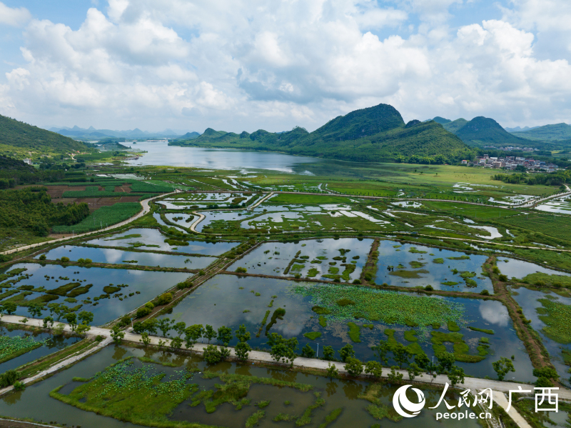 三利湖湿地公园。人民网 何宁摄