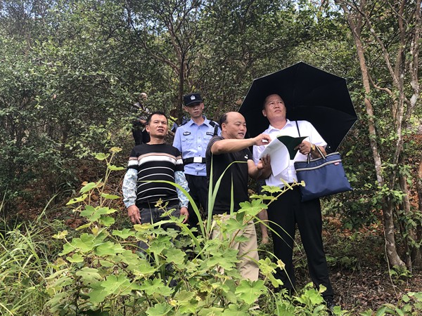 民族工作网格员在林地调解纠纷。