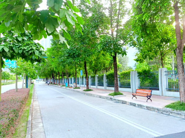 道路兩旁加裝了許多便民休閑座椅。