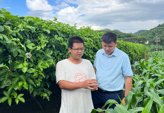 “金融活水”助力乡村振兴“追梦人”