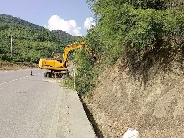 养护工人用挖掘机砍伐路边茂盛的树木.jpg