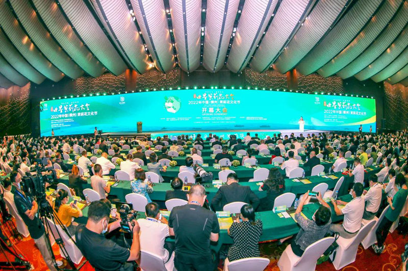 第四届世界茉莉花大会、2022年中国(横州)茉莉花文化节开幕大会现场。横州市融媒体中心供图