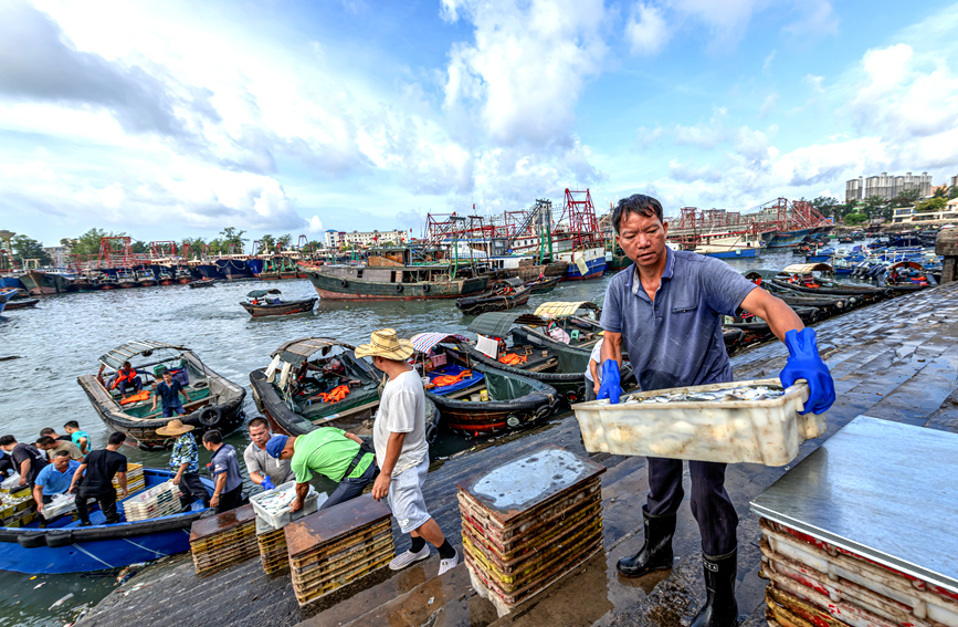 漁民將新鮮的海產品搬運上岸。黃天仕攝 