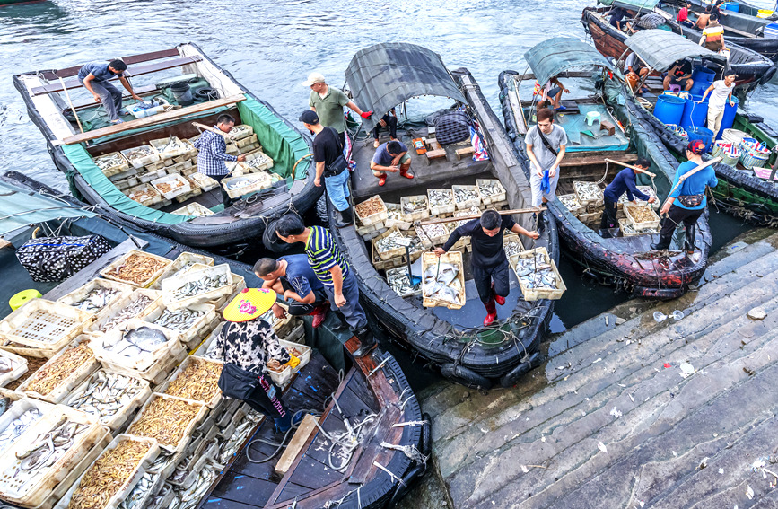 漁民將新鮮的海產品搬運上岸。黃天仕攝