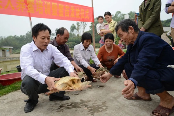 陳紹平與村民們一起探討養鱉技術
