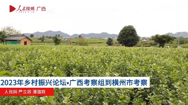“2023年鄉村振興論壇·廣西”舉行實地調研活動