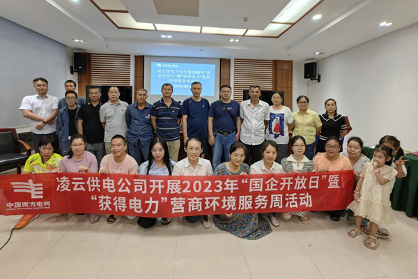 活动现场。凌云供电公司供图