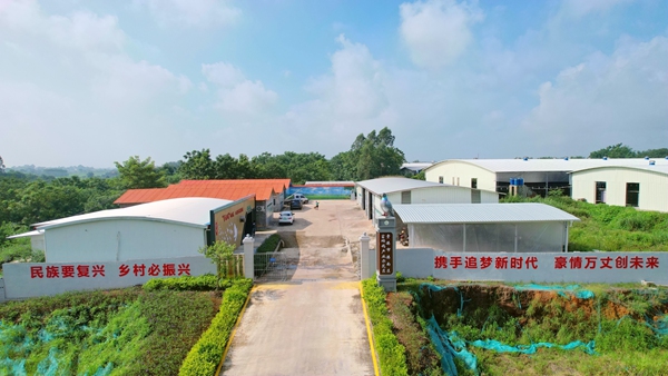 港南区富硒鸽产业示范区 曾钎祥摄.jpg