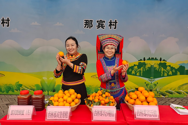 开展“互联网+沙糖桔”产销对接活动。西林县那劳镇人民政府供图