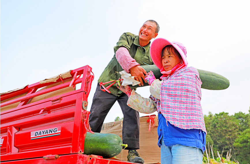 農戶們在搬運裝車。陽海翔攝