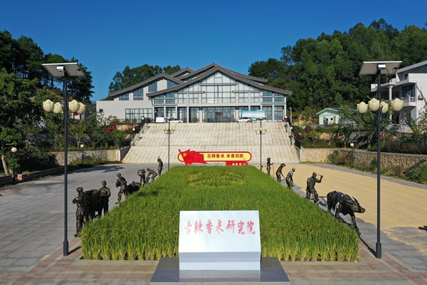 古辣香米研究院。宾阳县委宣传部供图