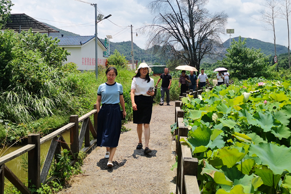 庙头镇人大组织代表调研天诚佳藕水生蔬菜示范园发展农家乐，助推乡村旅游发展情况。