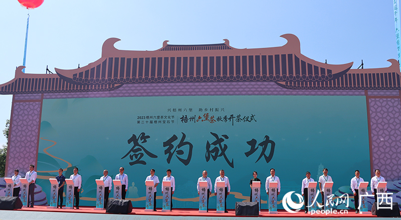 开茶仪式现场。人民网 何宁摄