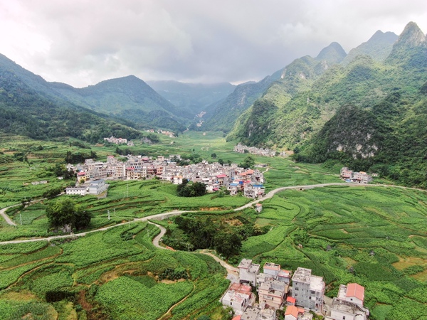 航拍东兰县板登蚕桑产业示范基地。黄文涛摄